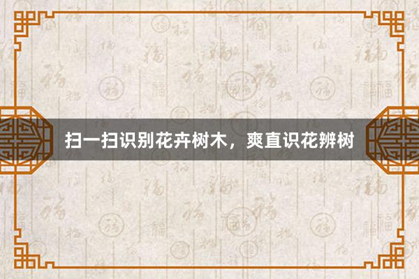 扫一扫识别花卉树木，爽直识花辨树