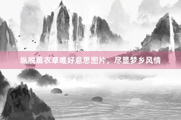 纵脱薰衣草唯好意思图片，尽显梦乡风情