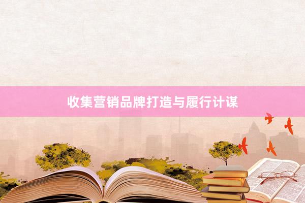 收集营销品牌打造与履行计谋